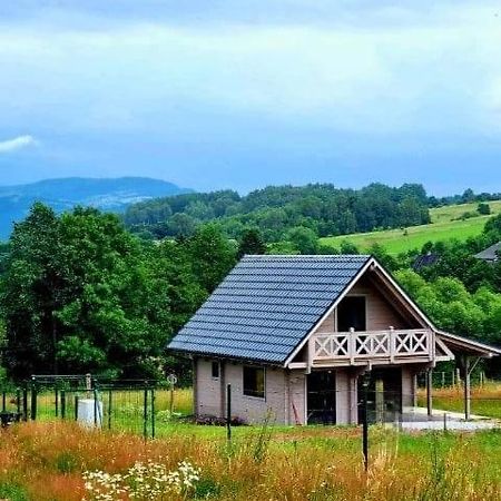 Domek Pod Ostoja Gory Sowie Lomnica  Экстерьер фото