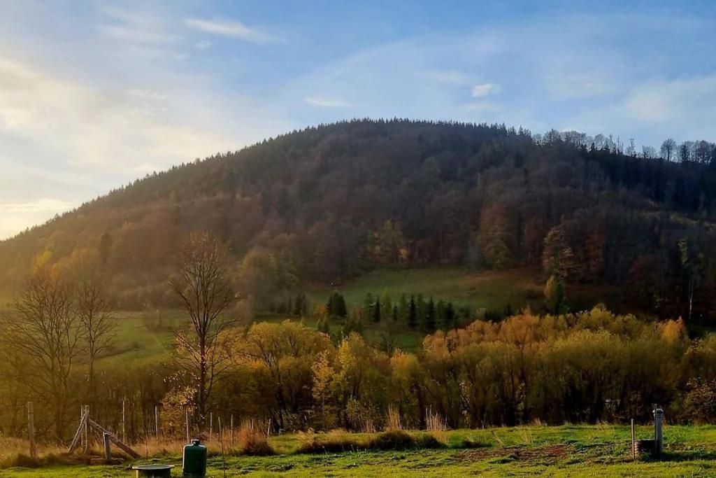 Domek Pod Ostoja Gory Sowie Lomnica  Экстерьер фото
