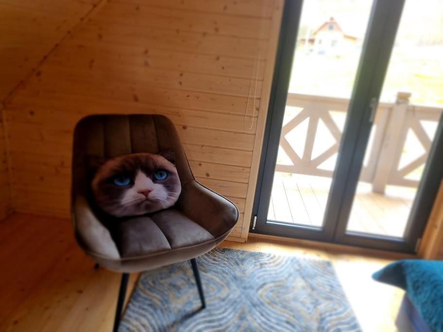 Domek Pod Ostoja Gory Sowie Lomnica  Экстерьер фото